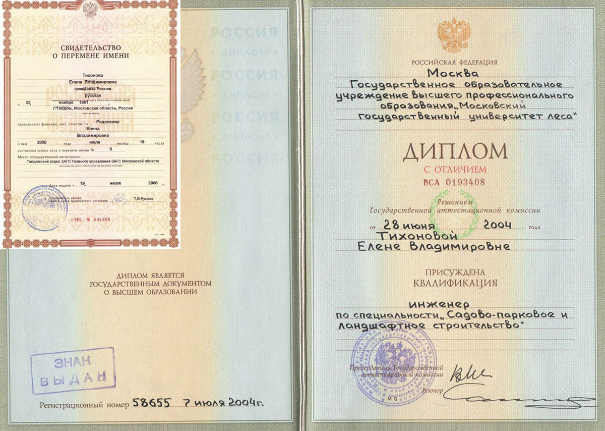 Диплом Елены Роденковой