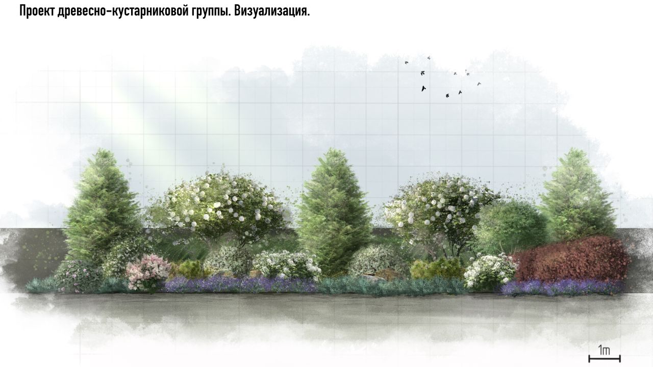 Ландшафтная мастерская Елены Роденковой. Визуализация.
